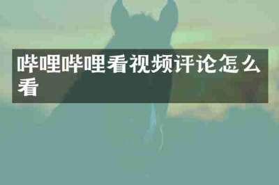 哔哩哔哩看视频评论怎么看