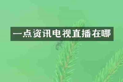 一点资讯电视直播在哪