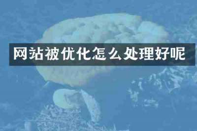 网站被优化怎么处理好呢