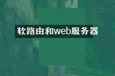 软路由和web服务器