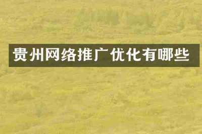 贵州网络推广优化有哪些