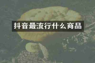 抖音最流行什么商品