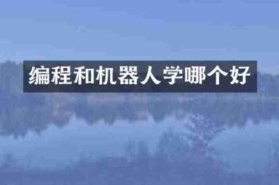 编程和机器人学哪个好