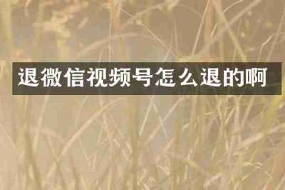 退微信视频号怎么退的啊