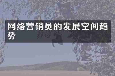 网络营销员的发展空间趋势