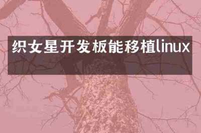 织女星开发板能移植linux吗