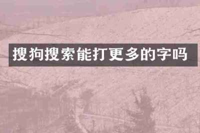 搜狗搜索能打更多的字吗
