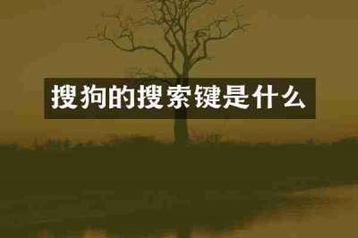 搜狗的搜索键是什么
