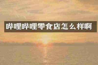 哔哩哔哩零食店怎么样啊
