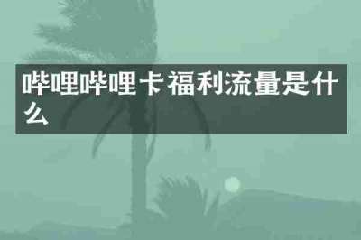哔哩哔哩卡福利流量是什么