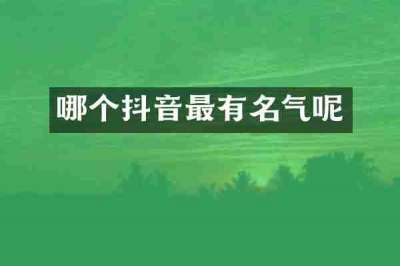 哪个抖音最有名气呢