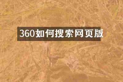 360如何搜索网页版