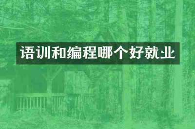 语训和编程哪个好就业