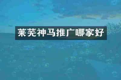 莱芜神马推广哪家好