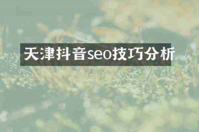 天津抖音seo技巧分析