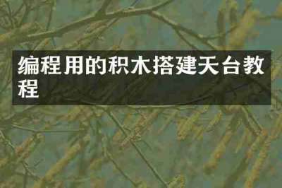 编程用的积木搭建天台教程