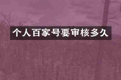 个人百家号要审核多久