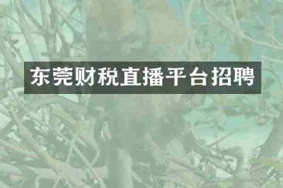 东莞财税直播平台招聘
