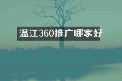 温江360推广哪家好