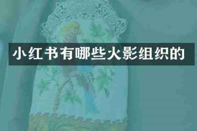 小红书有哪些火影组织的