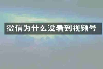 微信为什么没看到视频号