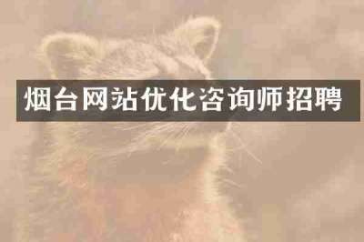 烟台网站优化咨询师招聘