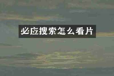 必应搜索怎么看片