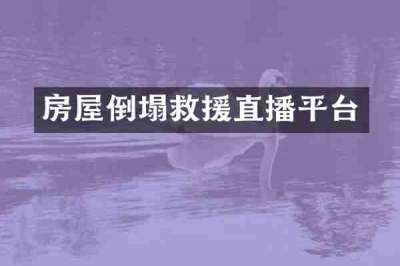 房屋倒塌救援直播平台
