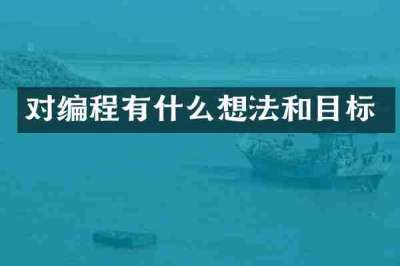 对编程有什么想法和目标