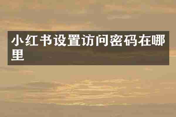 小红书设置访问密码在哪里