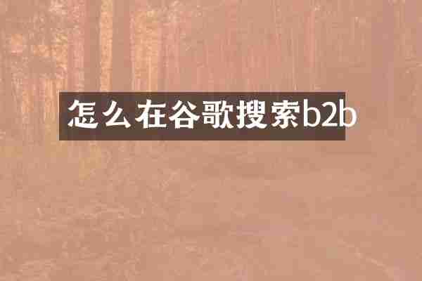 怎么在谷歌搜索b2b