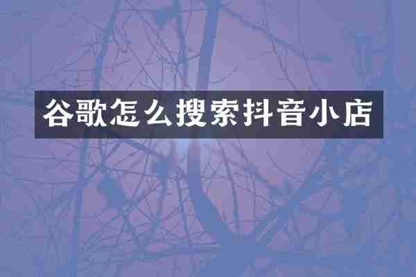 谷歌怎么搜索抖音小店