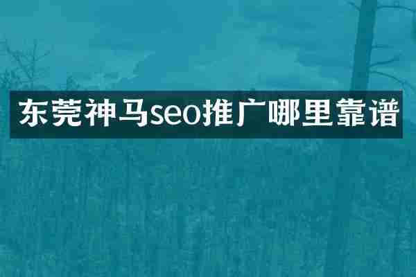 东莞神马seo推广哪里靠谱