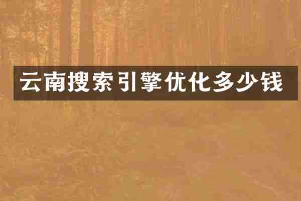 云南搜索引擎优化多少钱