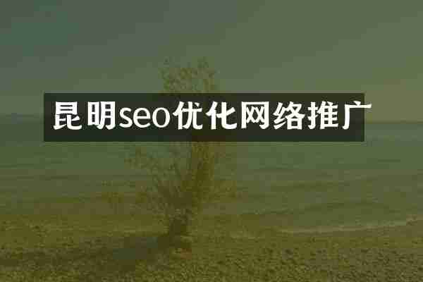 昆明seo优化网络推广