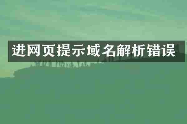 进网页提示域名解析错误