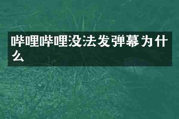 哔哩哔哩没法发弹幕为什么