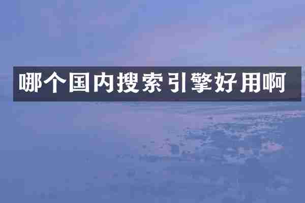 哪个国内搜索引擎好用啊