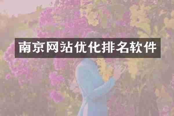 南京网站优化排名软件
