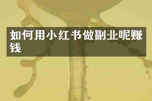 如何用小红书做副业呢赚钱