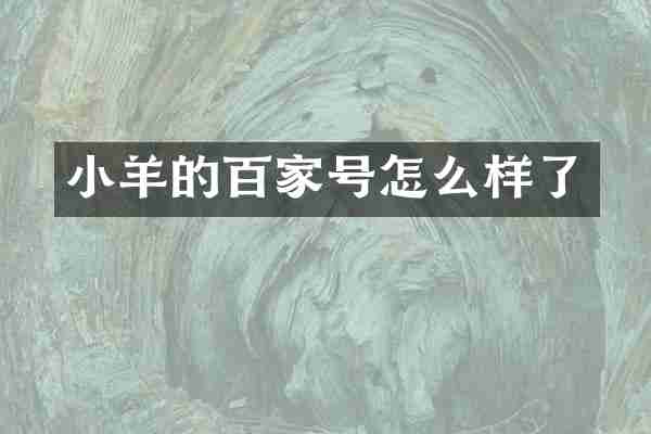 小羊的百家号怎么样了