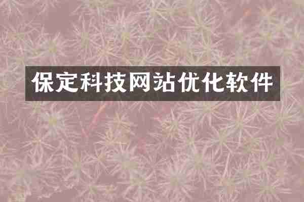 保定科技网站优化软件