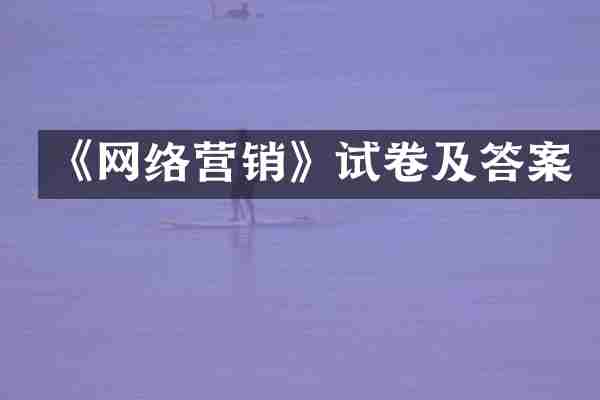 《网络营销》试卷及答案