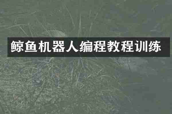 鲸鱼机器人编程教程训练