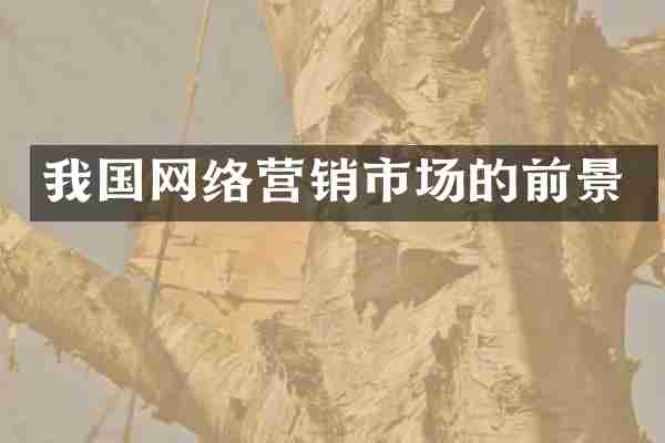 我国网络营销市场的前景