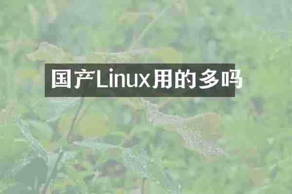 国产Linux用的多吗