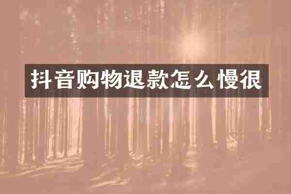 抖音购物退款怎么慢很