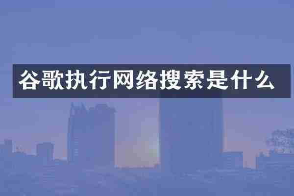 谷歌执行网络搜索是什么
