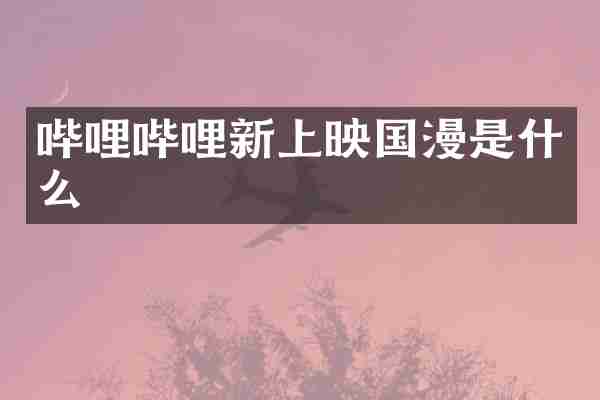 哔哩哔哩新上映国漫是什么