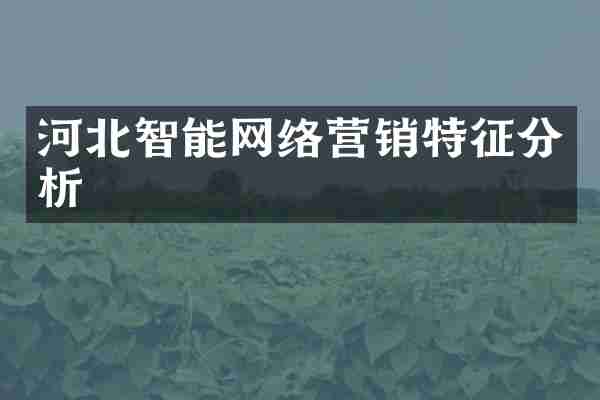 河北智能网络营销特征分析